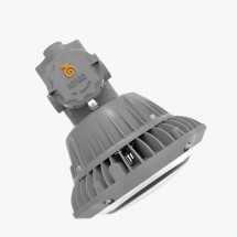 Series LDXEFD01A of LED explosion-proof plateform lamp